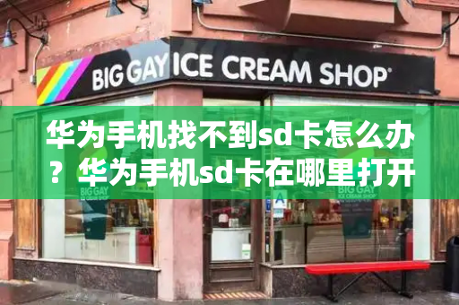 华为手机找不到sd卡怎么办？华为手机sd卡在哪里打开-第1张图片-星选测评