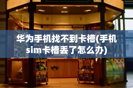 华为手机找不到卡槽(手机sim卡槽丢了怎么办)-第1张图片-星选测评