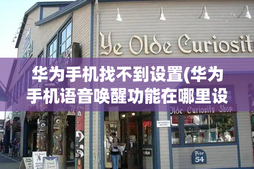 华为手机找不到设置(华为手机语音唤醒功能在哪里设置)-第1张图片-星选测评