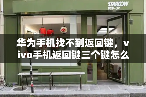 华为手机找不到返回键，vivo手机返回键三个键怎么调-第1张图片-星选测评