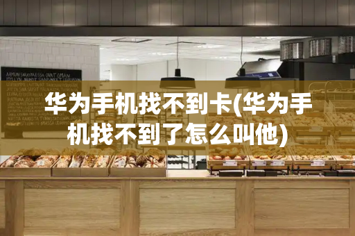 华为手机找不到卡(华为手机找不到了怎么叫他)-第1张图片-星选测评