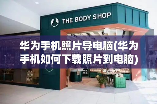 华为手机照片导电脑(华为手机如何下载照片到电脑)-第1张图片-星选测评