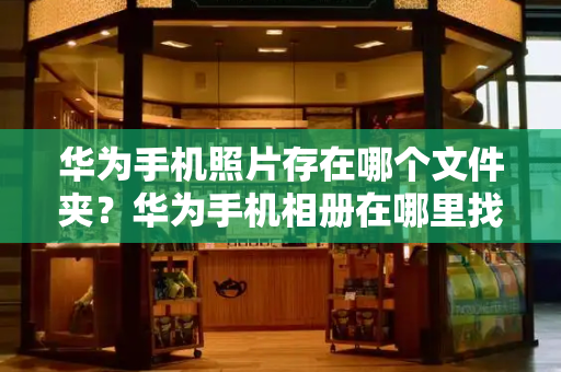华为手机照片存在哪个文件夹？华为手机相册在哪里找-第1张图片-星选测评