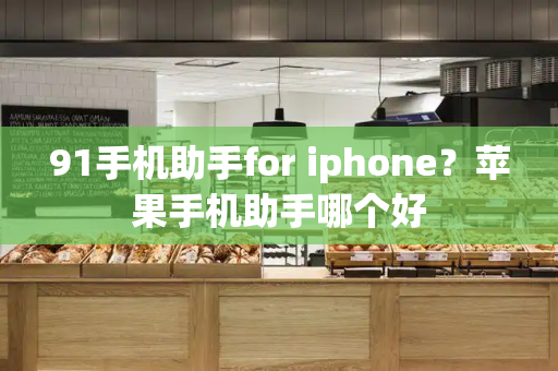 91手机助手for iphone？苹果手机助手哪个好-第1张图片-星选测评
