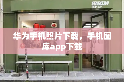 华为手机照片下载，手机图库app下载-第1张图片-星选测评