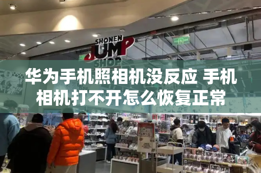 华为手机照相机没反应 手机相机打不开怎么恢复正常-第1张图片-星选测评