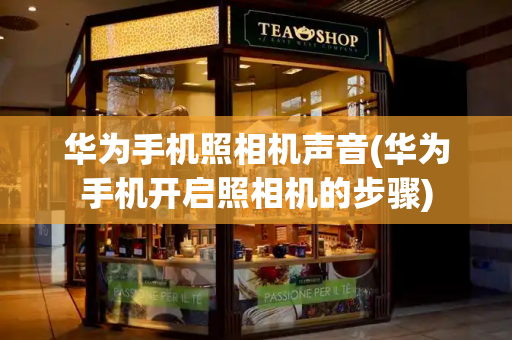 华为手机照相机声音(华为手机开启照相机的步骤)-第1张图片-星选测评
