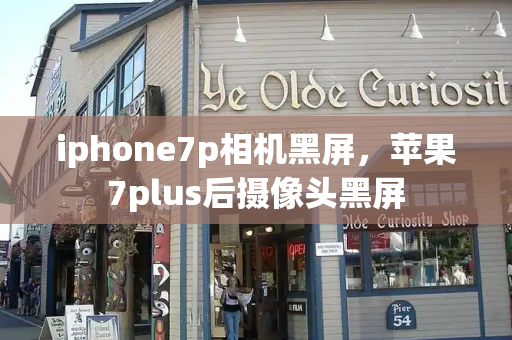 iphone7p相机黑屏，苹果7plus后摄像头黑屏-第1张图片-星选测评