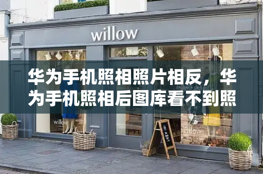 华为手机照相照片相反，华为手机照相后图库看不到照片-第1张图片-星选测评