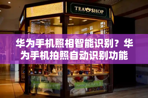 华为手机照相智能识别？华为手机拍照自动识别功能-第1张图片-星选测评