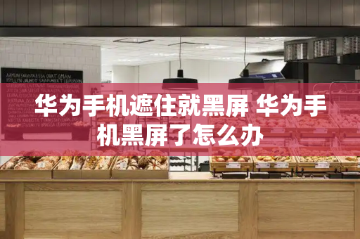华为手机遮住就黑屏 华为手机黑屏了怎么办-第1张图片-星选测评