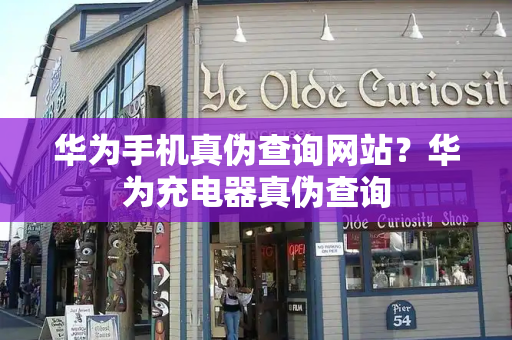 华为手机真伪查询网站？华为充电器真伪查询-第1张图片-星选测评