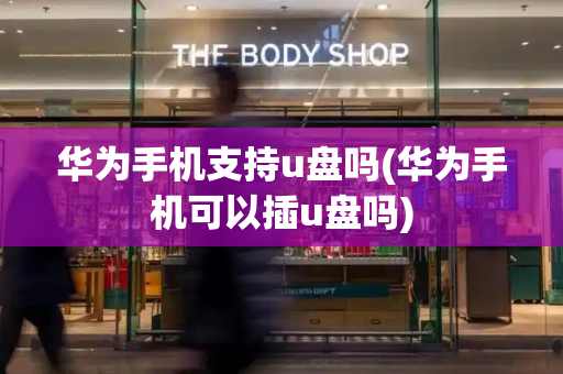 华为手机支持u盘吗(华为手机可以插u盘吗)-第1张图片-星选测评