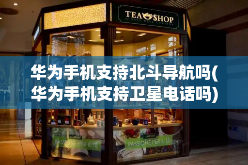 华为手机支持北斗导航吗(华为手机支持卫星电话吗)-第1张图片-星选测评
