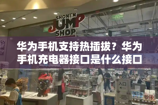 华为手机支持热插拔？华为手机充电器接口是什么接口-第1张图片-星选测评