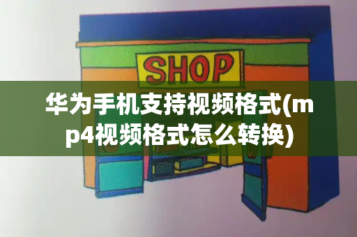 华为手机支持视频格式(mp4视频格式怎么转换)