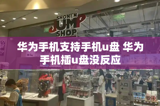 华为手机支持手机u盘 华为手机插u盘没反应-第1张图片-星选测评
