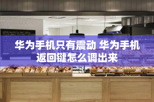 华为手机只有震动 华为手机返回键怎么调出来