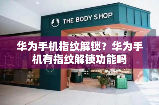 华为手机指纹解锁？华为手机有指纹解锁功能吗-第1张图片-星选测评