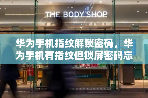 华为手机指纹解锁密码，华为手机有指纹但锁屏密码忘了