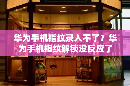 华为手机指纹录入不了？华为手机指纹解锁没反应了-第1张图片-星选测评