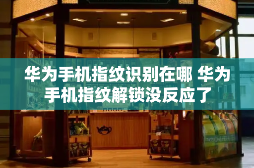 华为手机指纹识别在哪 华为手机指纹解锁没反应了