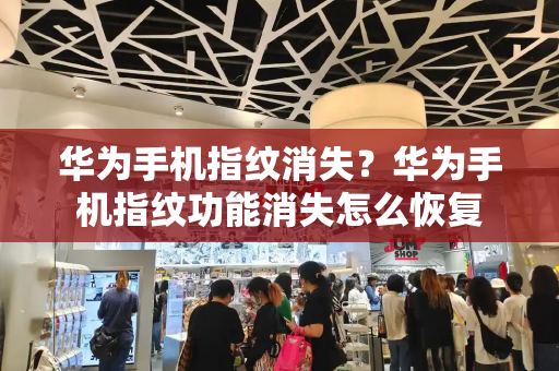 华为手机指纹消失？华为手机指纹功能消失怎么恢复-第1张图片-星选测评