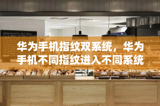 华为手机指纹双系统，华为手机不同指纹进入不同系统