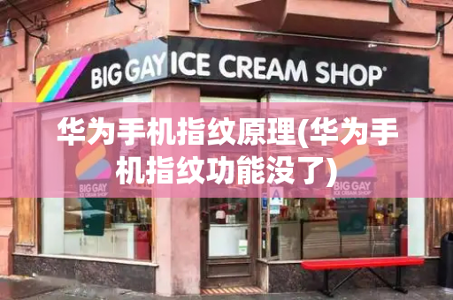 华为手机指纹原理(华为手机指纹功能没了)