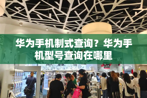 华为手机制式查询？华为手机型号查询在哪里-第1张图片-星选测评