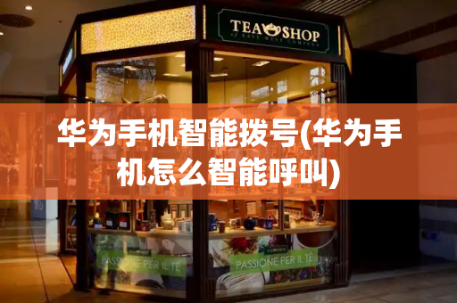 华为手机智能拨号(华为手机怎么智能呼叫)-第1张图片-星选测评