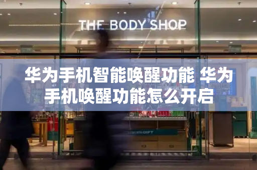 华为手机智能唤醒功能 华为手机唤醒功能怎么开启-第1张图片-星选测评