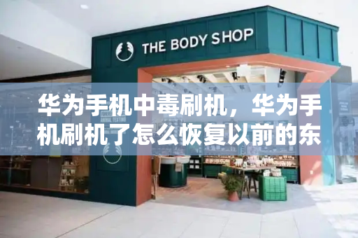 华为手机中毒刷机，华为手机刷机了怎么恢复以前的东西-第1张图片-星选测评