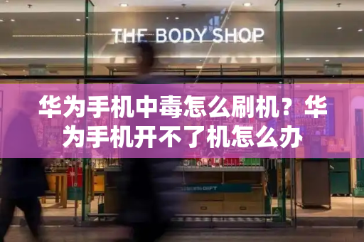 华为手机中毒怎么刷机？华为手机开不了机怎么办-第1张图片-星选测评