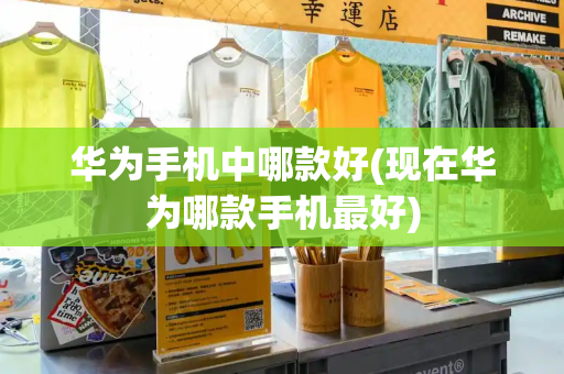 华为手机中哪款好(现在华为哪款手机最好)