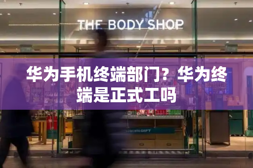 华为手机终端部门？华为终端是正式工吗