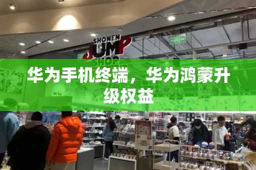 华为手机终端，华为鸿蒙升级权益