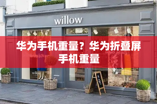 华为手机重量？华为折叠屏手机重量-第1张图片-星选测评