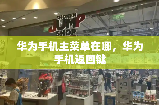 华为手机主菜单在哪，华为手机返回键-第1张图片-星选测评