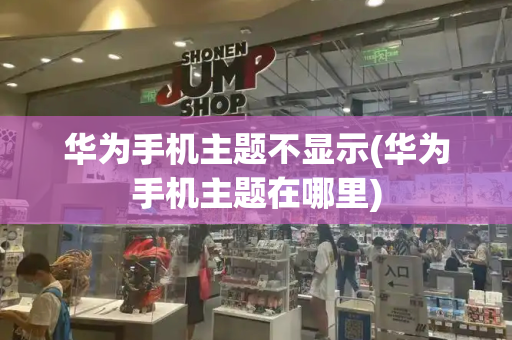华为手机主题不显示(华为手机主题在哪里)