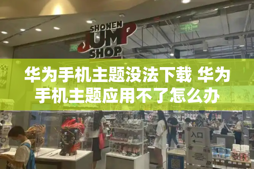 华为手机主题没法下载 华为手机主题应用不了怎么办