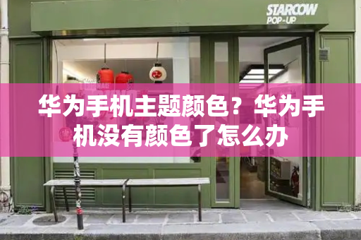 华为手机主题颜色？华为手机没有颜色了怎么办-第1张图片-星选测评