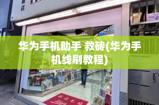 华为手机助手 救砖(华为手机线刷教程)-第1张图片-星选测评