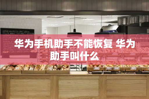 华为手机助手不能恢复 华为助手叫什么-第1张图片-星选测评