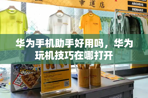 华为手机助手好用吗，华为玩机技巧在哪打开-第1张图片-星选测评