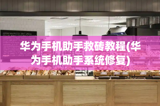 华为手机助手救砖教程(华为手机助手系统修复)-第1张图片-星选测评
