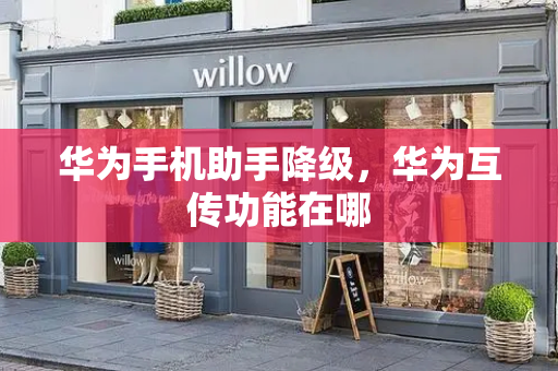 华为手机助手降级，华为互传功能在哪-第1张图片-星选测评