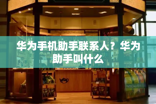 华为手机助手联系人？华为助手叫什么-第1张图片-星选测评