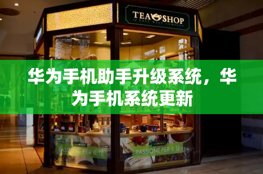 华为手机助手升级系统，华为手机系统更新-第1张图片-星选测评