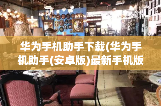 华为手机助手下载(华为手机助手(安卓版)最新手机版下载)